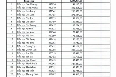 CÔNG KHAI KINH PHÍ CẤP BỔ SUNG CÁC CĐCSHKII NĂM HỌC 2024-2025